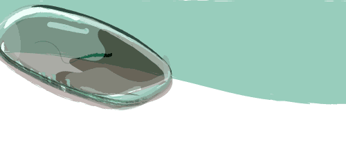 Zonnebril met los glas en illustratie | opticien Kluin Meppel