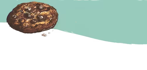 Illustratie Cookies Mobiele website voor opticien Kluin Meppel